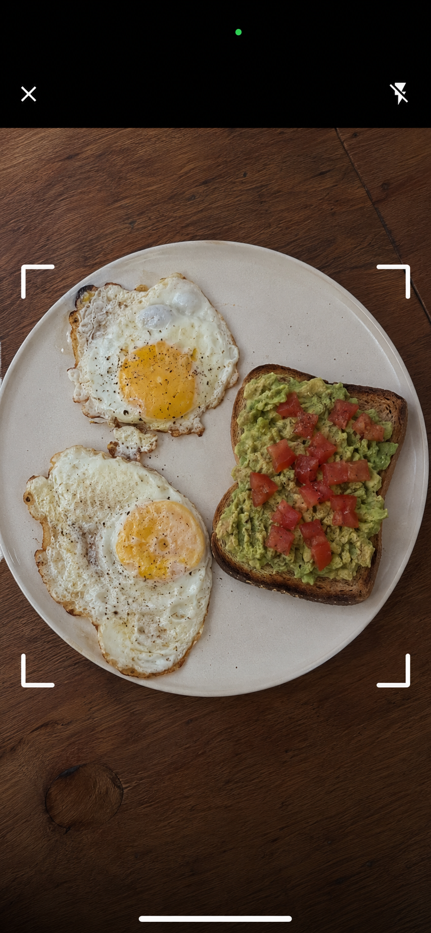 AI meal scan estimating protein from a photo